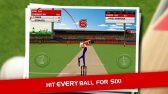 download Stick Cricket apk